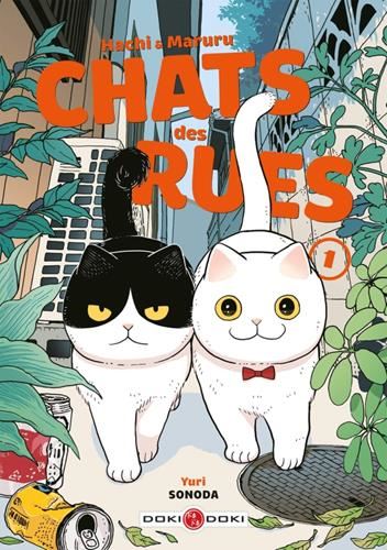 Chats des rues T1