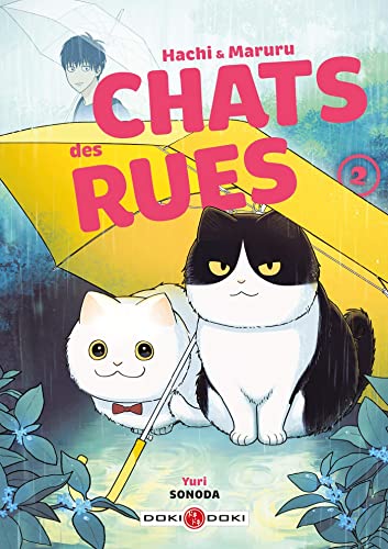 Chats des rues T2