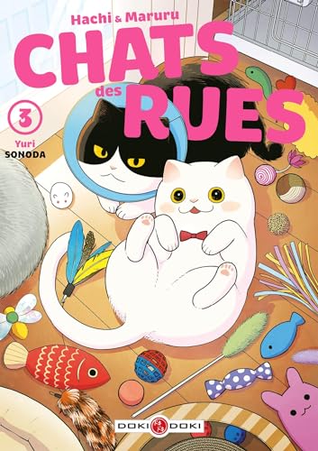 Chats des rues T3