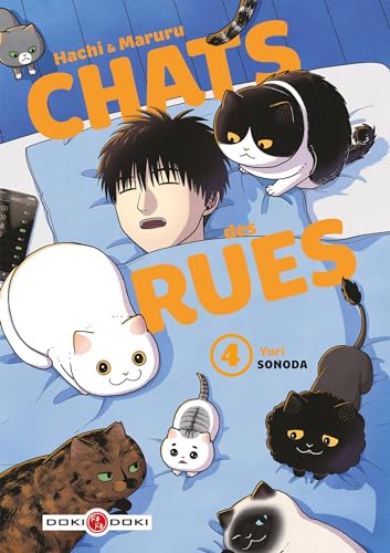 Chats des rues T4