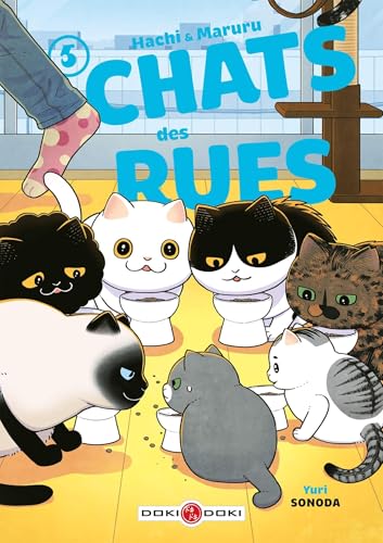 Chats des rues T5
