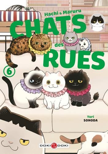 Chats des rues T6