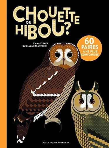 Chouette ou hibou ?
